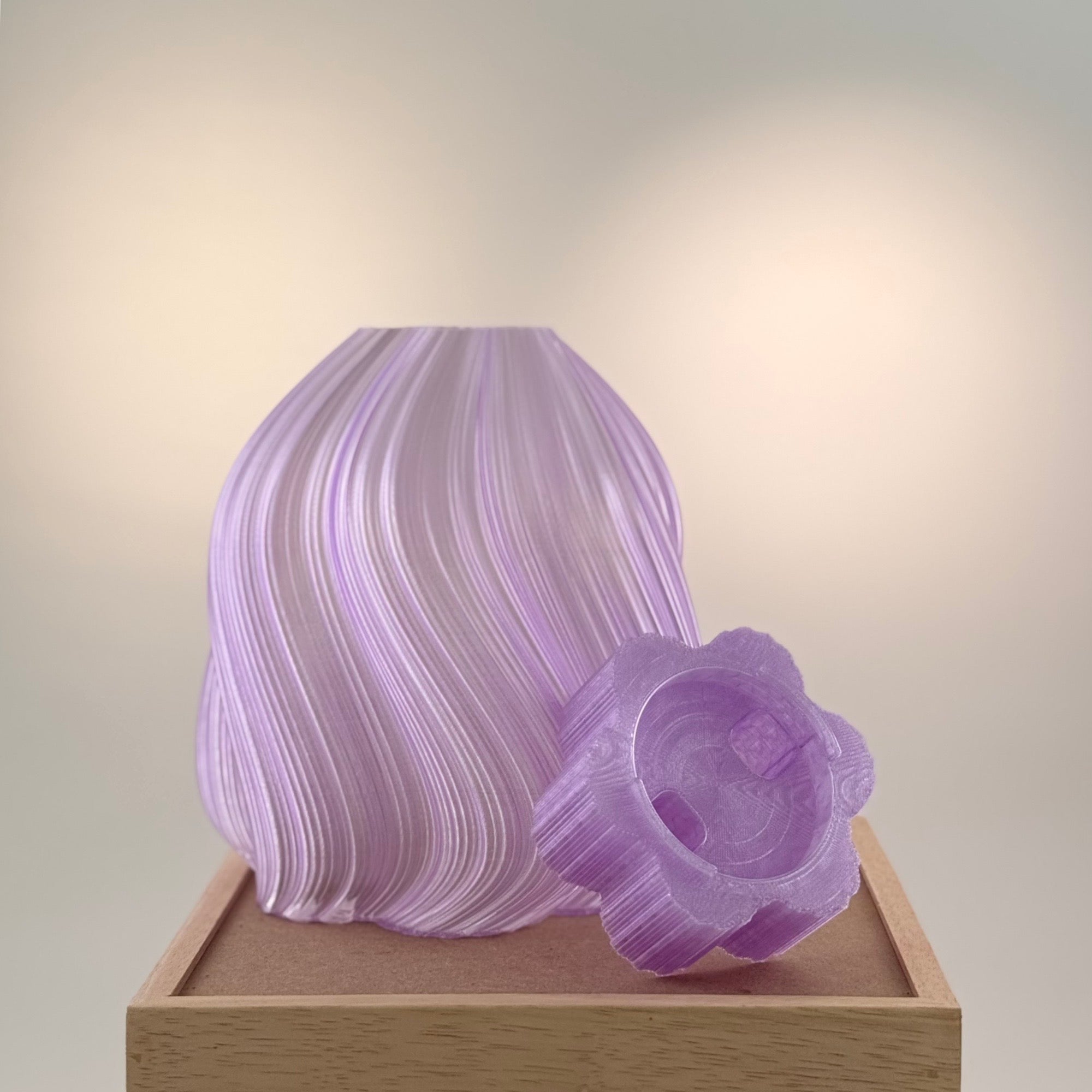 Marguerite translucide