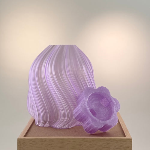 Marguerite translucide