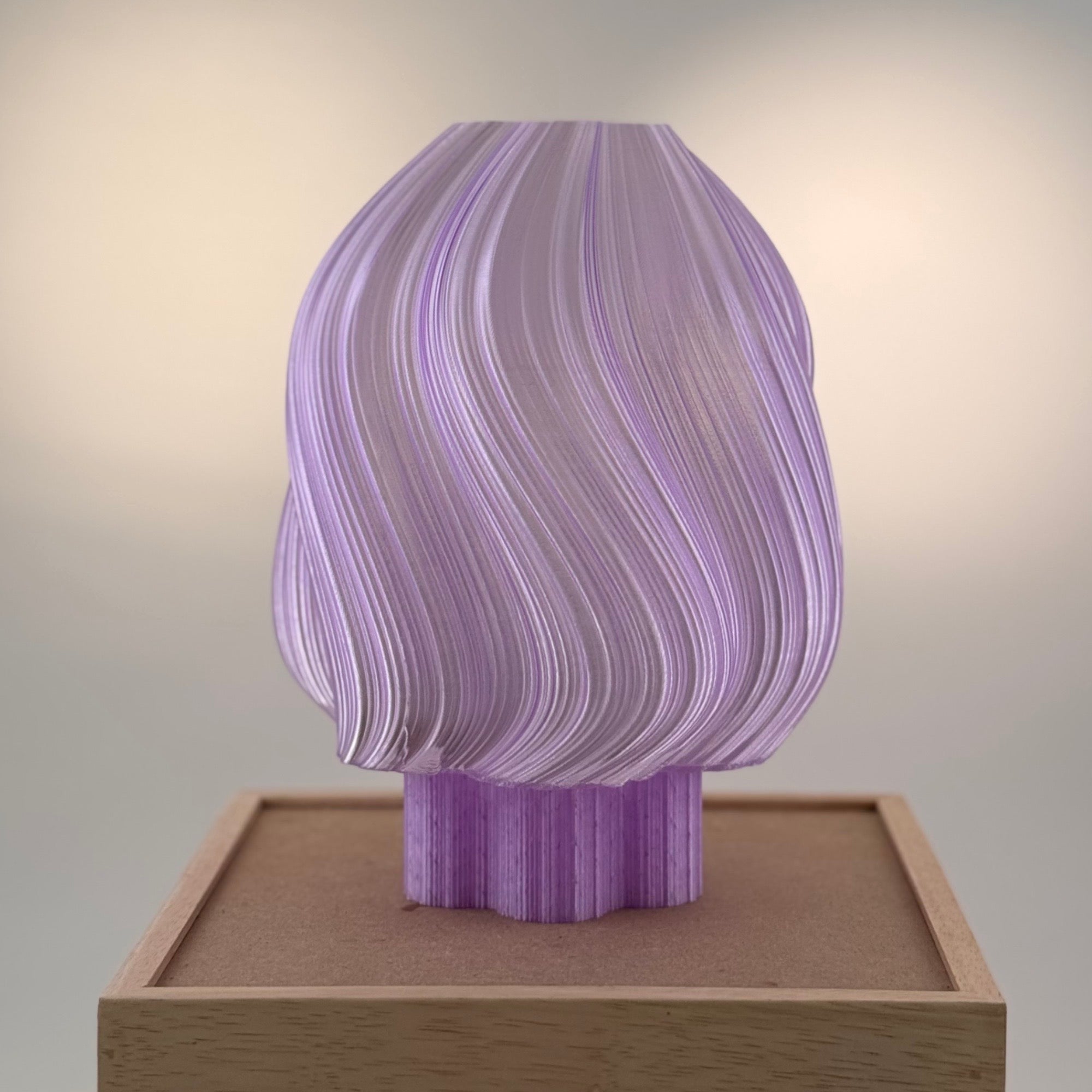 Marguerite translucide