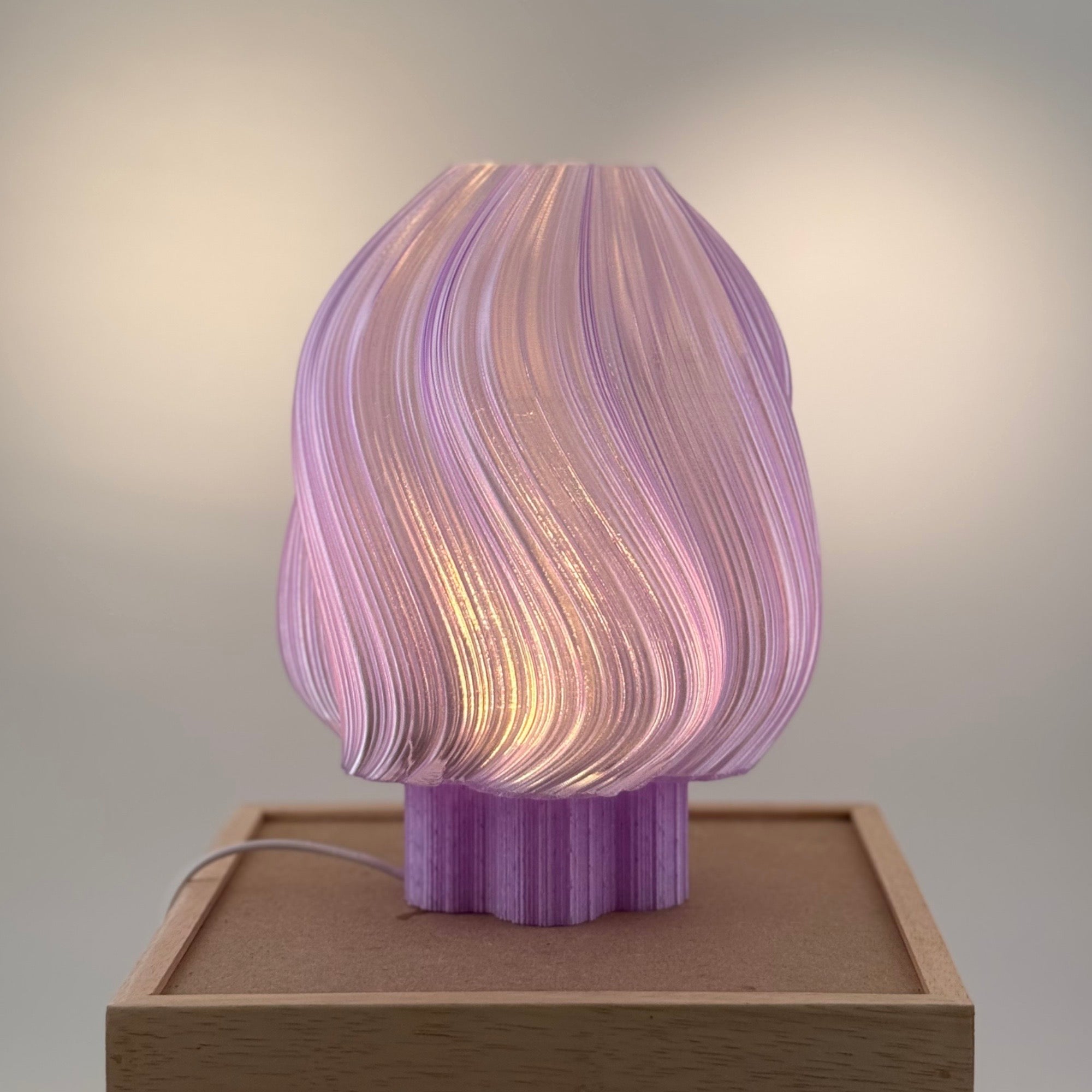 Marguerite translucide