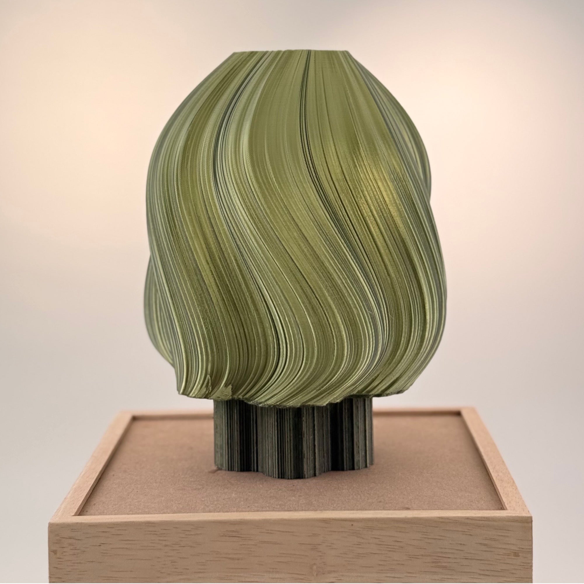 Marguerite translucide