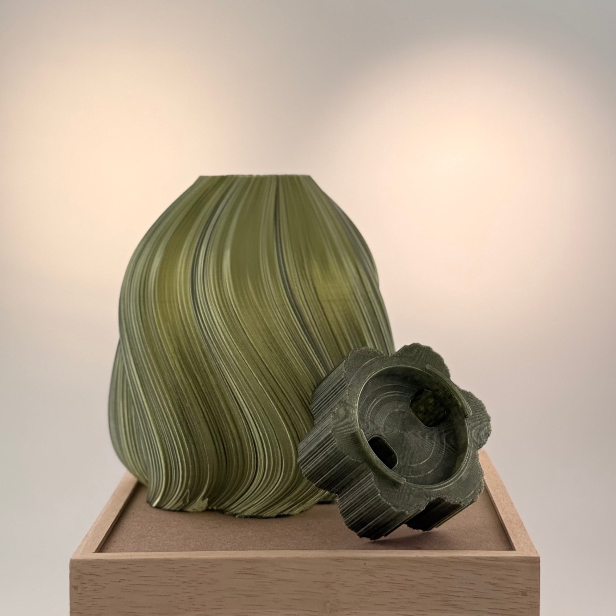 Marguerite translucide