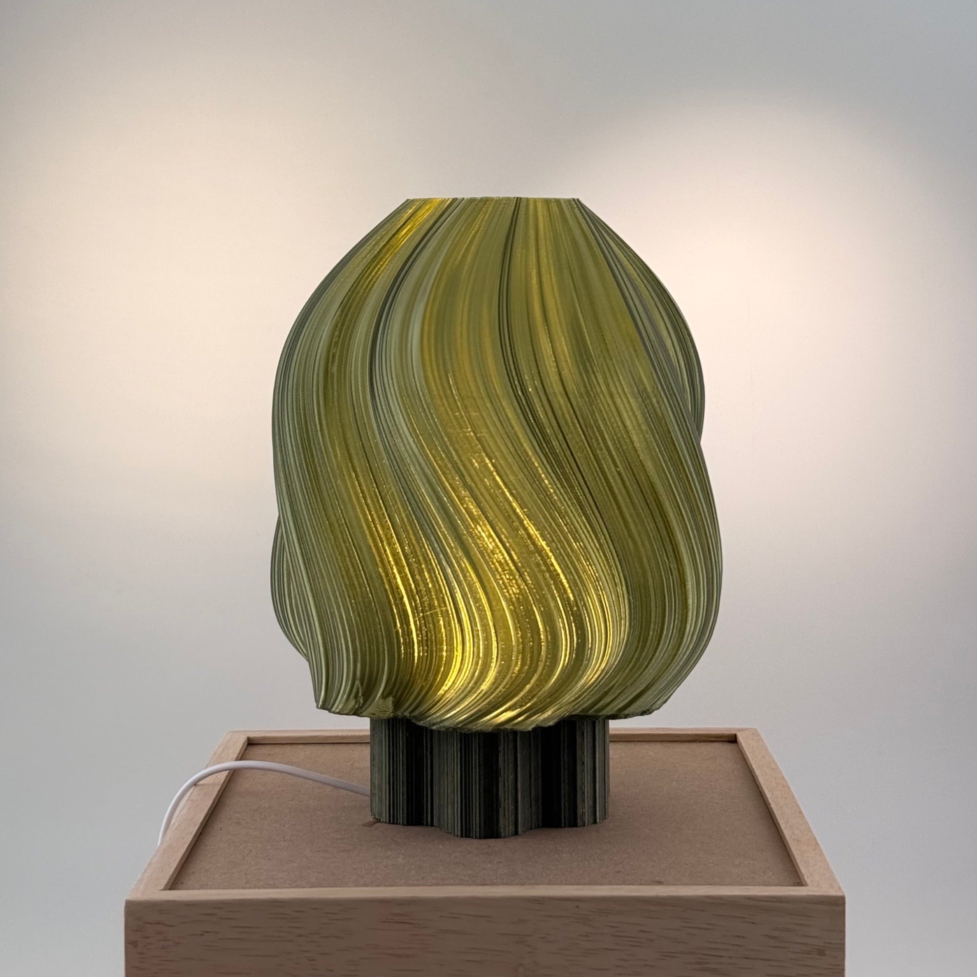 Marguerite translucide